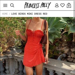 Princess Polly Love Birds Mini Dress